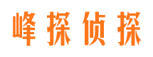 北镇找人公司